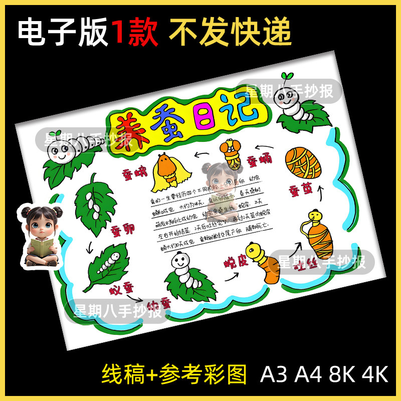 蚕的一生儿童绘画手抄报蚕宝宝成长记自然笔记观察日记电子版小报