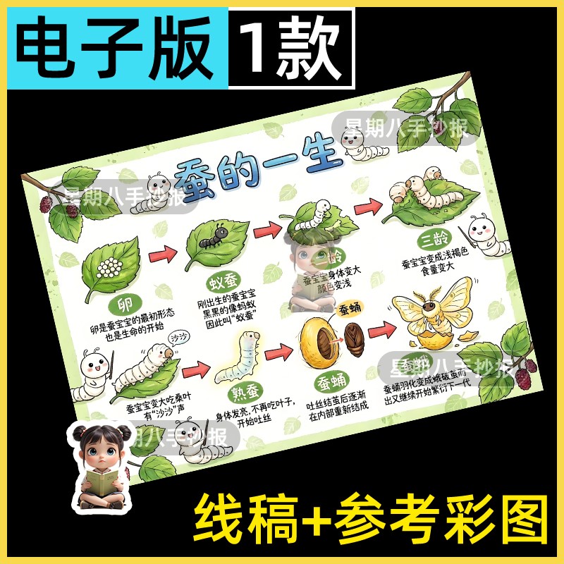 蚕的一生手抄报蚕宝宝成长记昆虫自然观察笔记蚕的生长过程儿童画