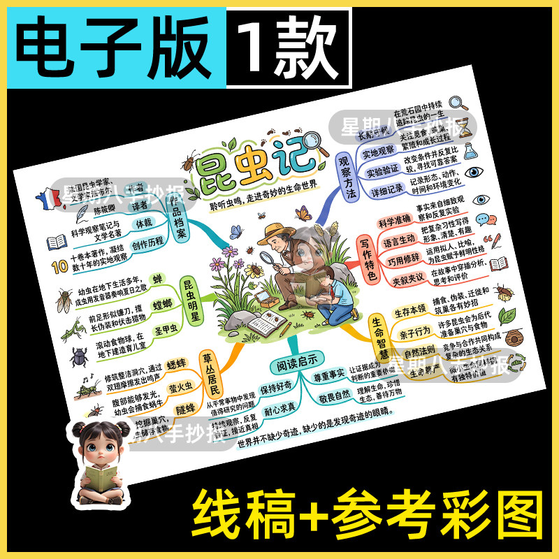 昆虫记思维导图手抄报法布尔初中生好书推荐课外阅读涂色电子小报