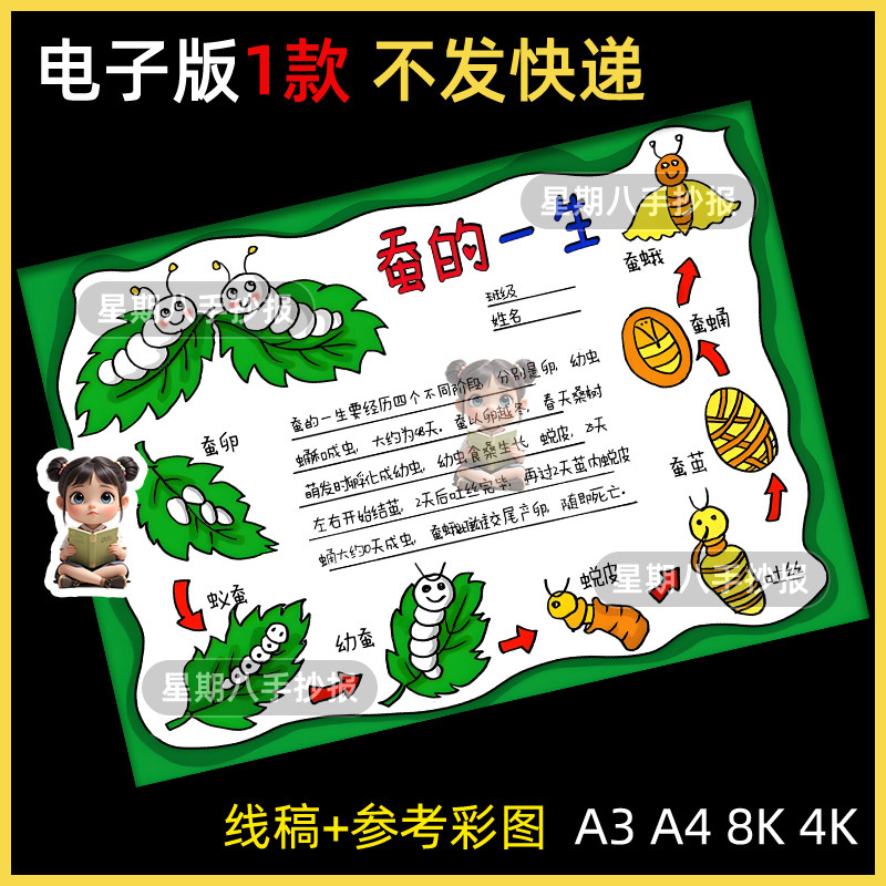 蚕的一生手抄报模板绘画蚕宝宝成长记自然笔记观察日记电子版
