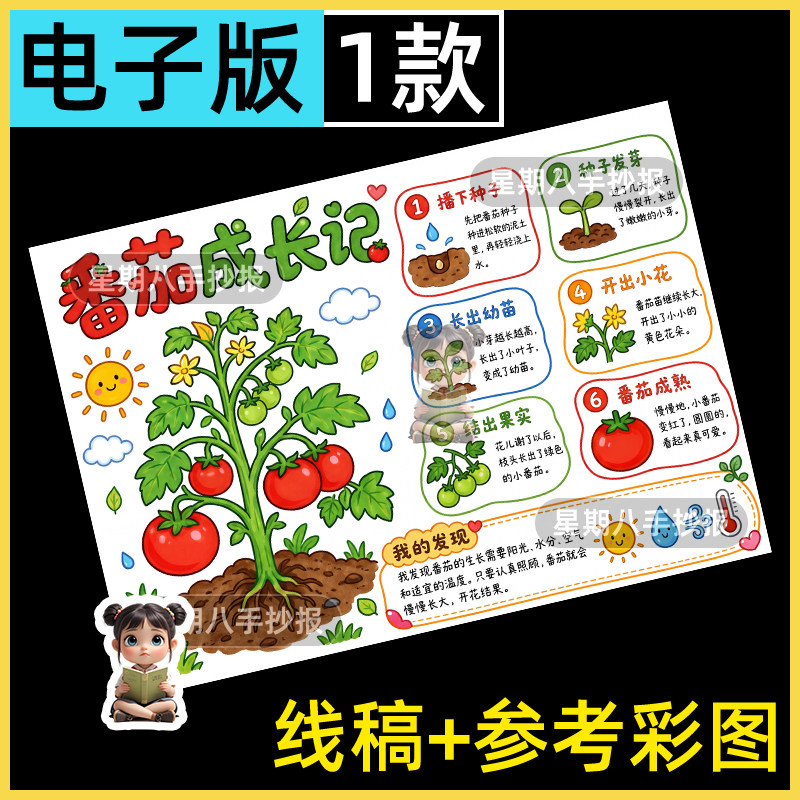 番茄成长记手抄报小学生植物生长日记自然观察笔记线稿小报模板a4