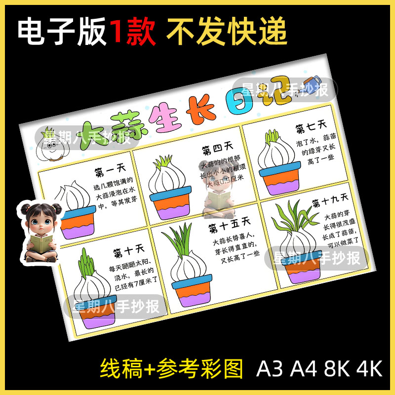 大蒜观察日记手抄报植物自然笔记生长蒜苗成长过程记录电子版小报