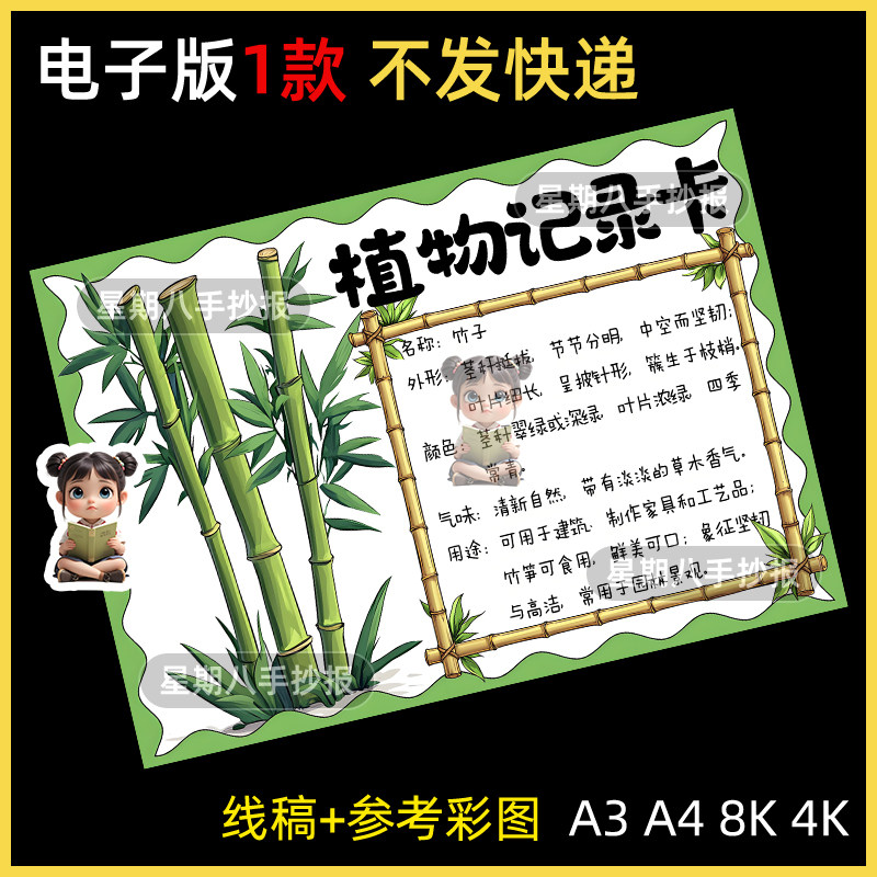 竹子植物记录名片卡手抄报模板生长观察自然笔记黑白线稿电子小报