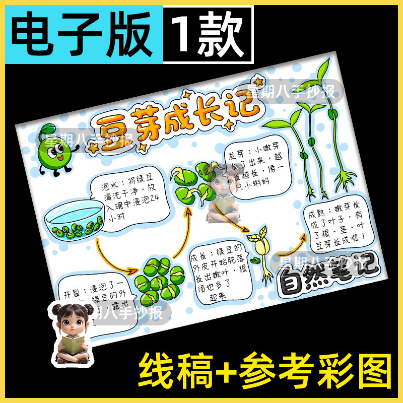 豆芽生长记手抄报电子模板 植物生长记录观察日记自然笔记线稿a4