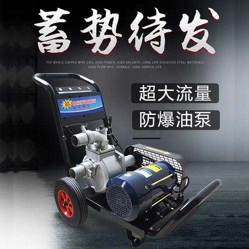 电动抽油泵220V380V2寸汽油柴油防爆导油卸油泵3寸大流量油罐车泵