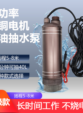 大功率抽柴油 水泵12V24V220伏抽油神器加油机电动油抽子小型抽酒