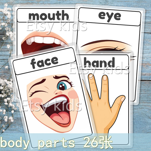身体部位教具儿童英语单词卡片幼儿英文闪卡启蒙词卡body parts