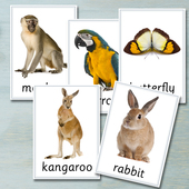 动物卡片儿童英语单词卡片幼儿英文闪卡教具早教启蒙认知卡80张