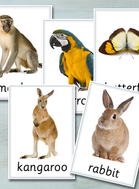 动物卡片儿童英语单词卡片幼儿英文闪卡教具早教启蒙认知卡74张