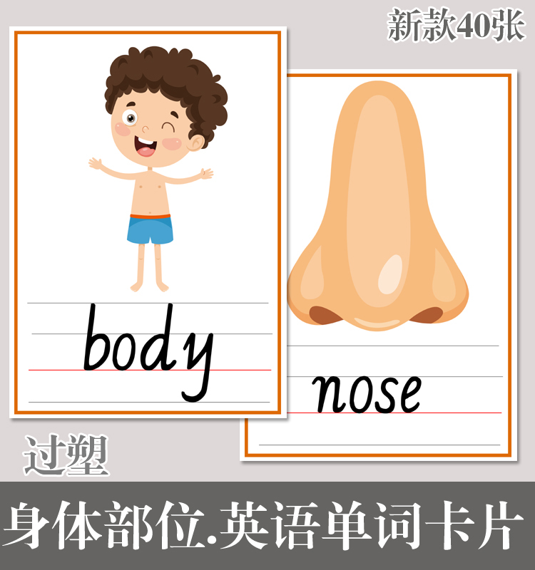 身体部位英语单词卡片英语闪卡早教幼儿小学英语教具