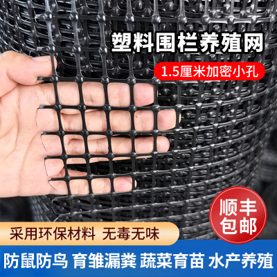 1.5厘米小孔围栏网育雏漏粪专用