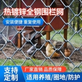 热镀锌铁丝网勾花网养殖猪牛羊隔离网养鸡围栏网圈地果园防护栅栏