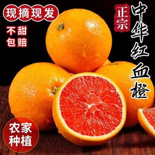 正宗中华红血橙湖北秭归红橙红心橙当季现摘水果香橙手剥甜橙水果
