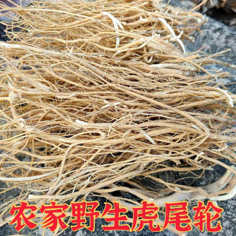 250克农家高山虎尾轮石参根黄瓜参猫尾射炖鸡炖大骨煲汤家用炖汤