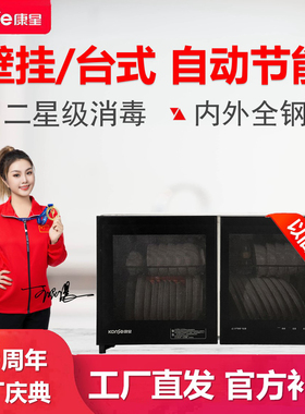 康星家用幼儿园高温小型碗筷消毒柜壁挂台式二星饭店厨房以旧换新