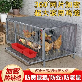 鸡笼家用室内自动清粪新型庭院大号家用养殖鸡笼鸽子笼大号加密网