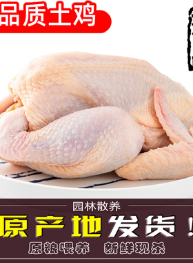 新鲜农家土鸡三黄鸡冷冻现杀童子鸡笨鸡整只包邮白条鸡生鸡肉草鸡