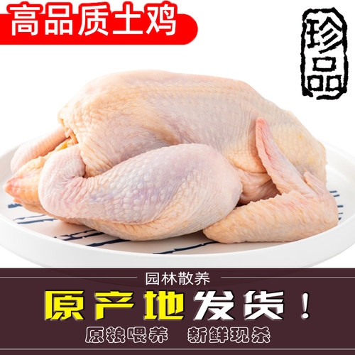 新鲜土鸡农家三黄鸡童子鸡整只
