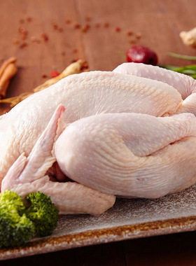 整只新鲜土鸡农家三黄鸡冷冻现杀童子鸡笨鸡整只包邮白条鸡生鸡肉