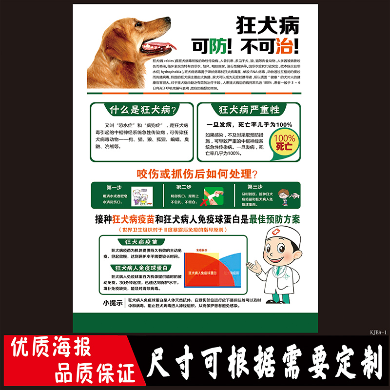 预防狂犬病卫生免疫贴纸社区宣传画图海报医院预防宠物咬伤墙贴纸