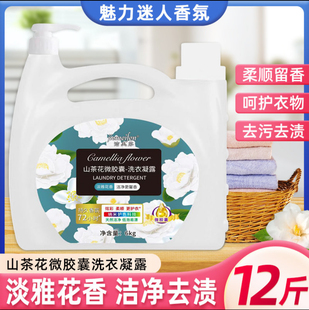 12斤 山茶花洗衣液6kg家用持久留香深层清洁超值家庭大桶新疆不发