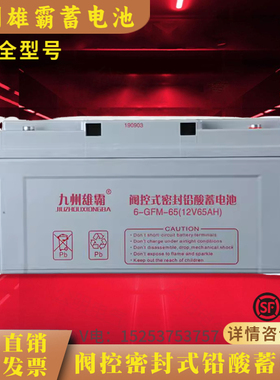 九州雄霸蓄电池12V150AH100AH65AH32AH17AH7AH/UPS/EPS/机房/基站