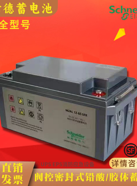 施耐德APC蓄电池M2AL12V7AH24AH38AH65AH100AH200AH/UPS/EPS/机房