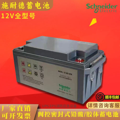 施耐德APC蓄电池M2AL12V7AH24AH38AH65AH100AH200AH/UPS/EPS/机房