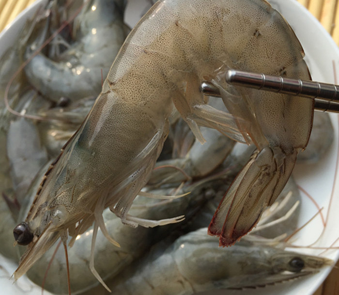 山东威海海鲜海捕野生速冻鲜虾基围虾大虾青竹节虾顺丰包邮