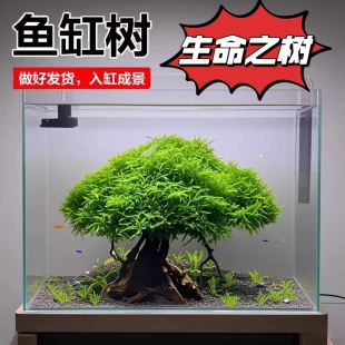 莫斯树鱼缸树沉木真水草懒人造景无需底沙生命之树鱼缸造景摆件