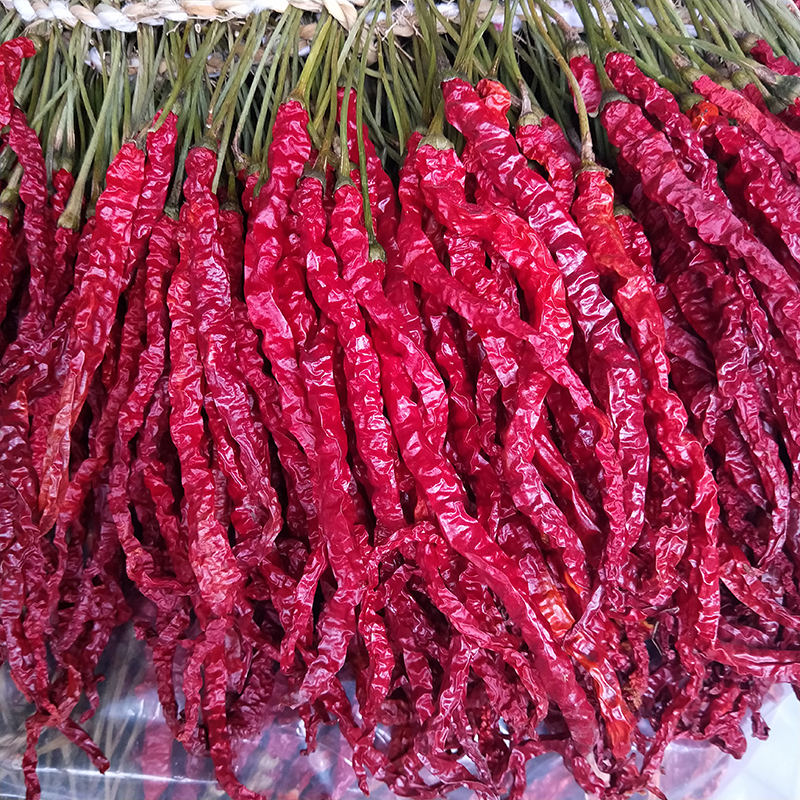 微辣特香贵州大方皱椒贵州干辣椒