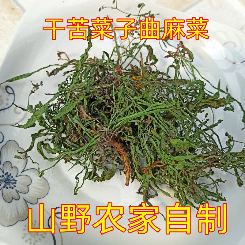 新鲜野苦菜子野菜蔬菜时令当季大小野苦菜子农家沂蒙山现挖批代发