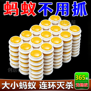 灭蚂蚁药方便贴引诱一窝端