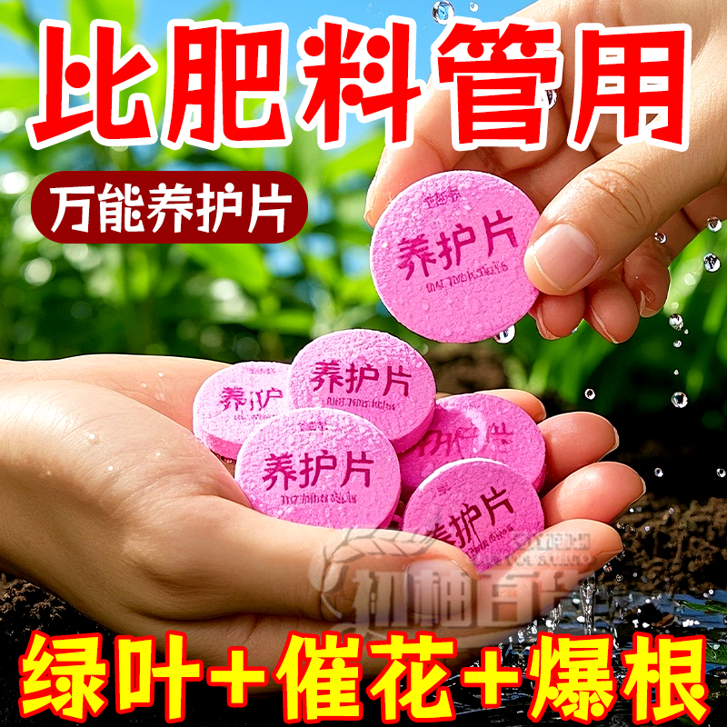爆根养花万能肥营养片