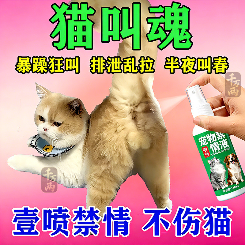 正品猫咪宠物猫母猫情液公猫抑情禁情抑制喷剂猫静情发情期绝育雾,宠物/宠物食品及用品,猫特色保健品,淘宝优惠券,粉丝福利购,淘宝优惠卷