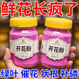 正品快速开花粉通用型玫瑰月季花茶花水溶肥料爆花盆栽三角梅花卉