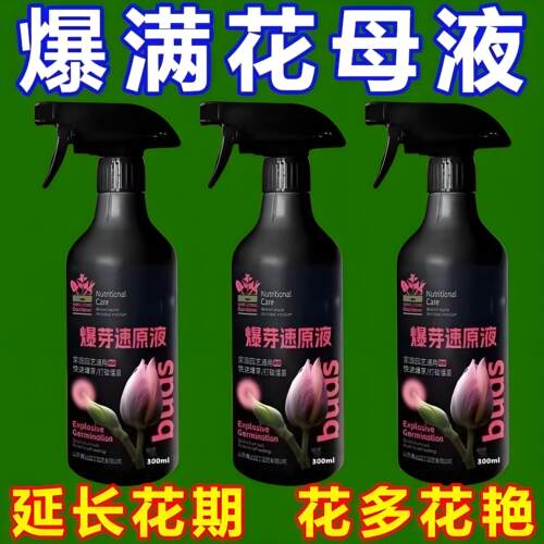 爆芽速原液多芽促芽催芽分化叶
