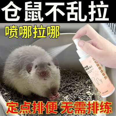 仓鼠定位上厕所神器专用排便诱导