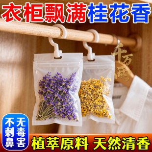 栀子花薰包飘香包家用卧室防霉衣橱 房间室内挂式 衣柜除味留香