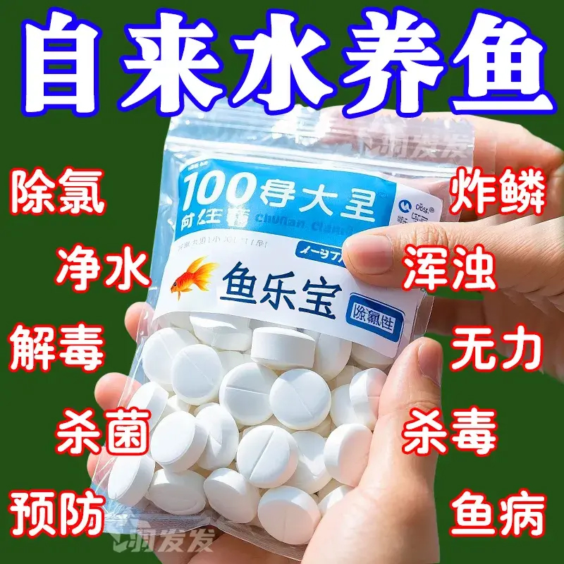 2025【魚樂寶】全新升級