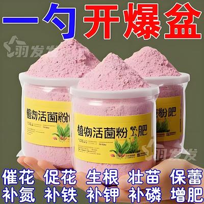 植物活菌粉兰花专用防烂根