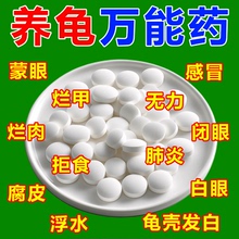 护龟片乌龟消毒片专治腐皮烂甲白眼病厌食净化水质杀菌宠物消毒液