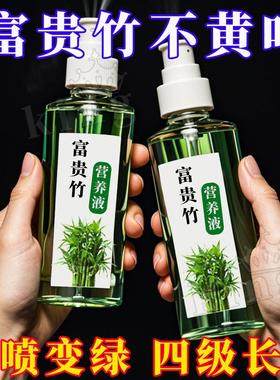 【四季翠绿】富贵竹专用营养液叶子发黄促生根液植物水培专用肥料