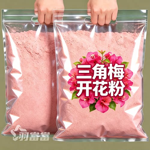 三角梅花壮根治黄叶粉