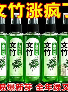 【叶爆绿】文竹营养液促发芽猛生根专治黄叶干尖烂根促生长黄变绿