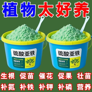 [硫酸亚铁花肥料栀子花茶花杜鹃桂花防黄叶盆栽营养土壤调酸水溶肥]