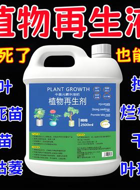 大树生根液枯树再生复活液树木移栽壮苗剂植物通用型营养液激活液