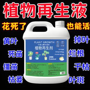 大树生根液枯树再生复活液树木移栽壮苗剂植物通用型营养液激活液