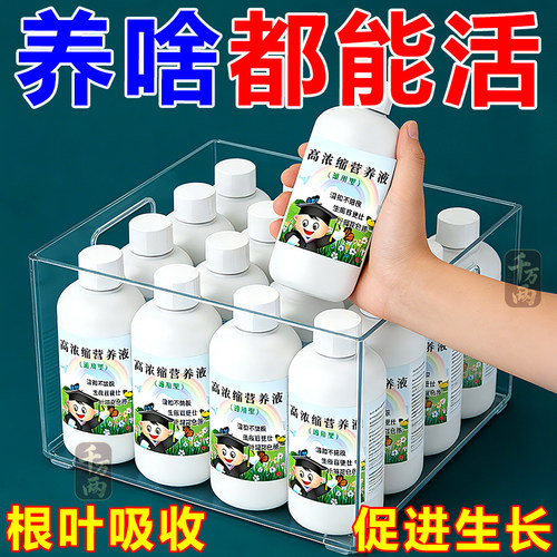 花卉通用高浓缩营养液增根壮花