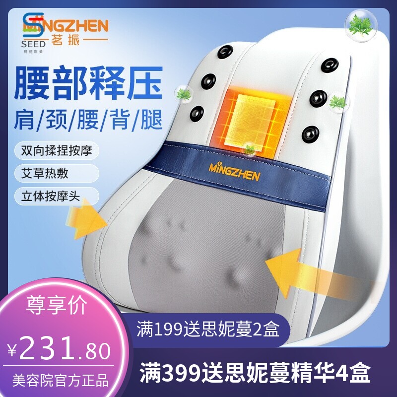 茗振电动按摩仪腰颈两用腰背部按摩器顶腰器靠垫加热车载福安